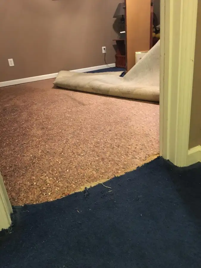 Carpet pad removal revealing water damage during Water Mitigation Services in Handy
