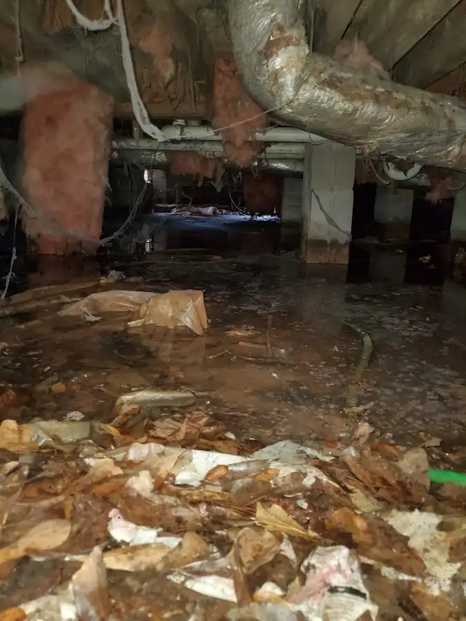 Crawl space flood assessment for Leak Detection & Repair in Handy