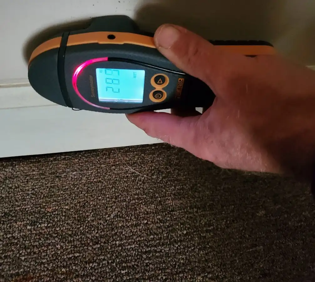 Moisture detection at baseboard during Burst Pipe Cleanup in Handy
